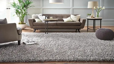 Carpet Cleaning Windsor: Make Your Carpets Look Like New Again