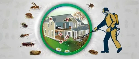 Effective Effective Pest Treatment Services and Bed Bug Treatment Solutions Solutions