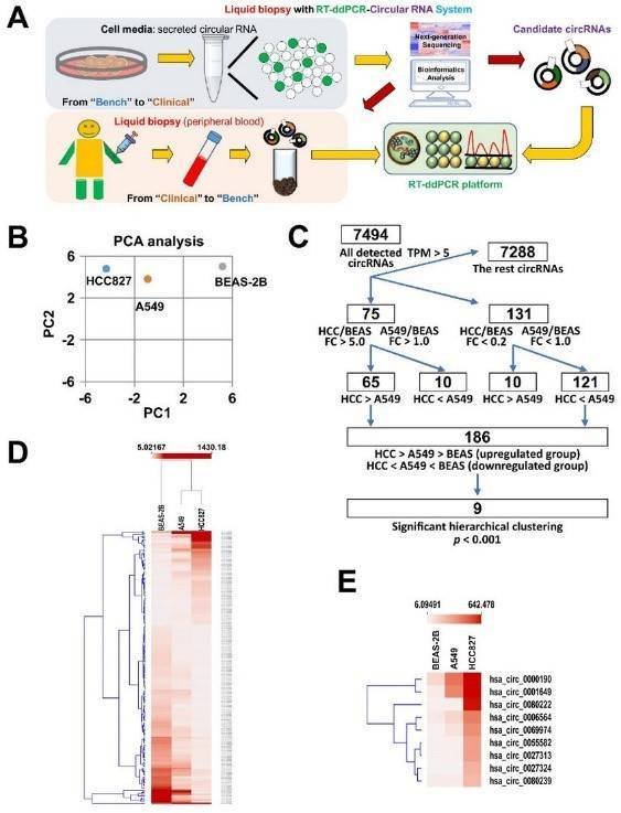 RNA Sequencing in Biomarker Identification Overview